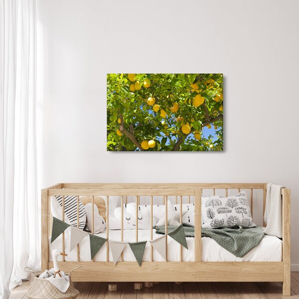 Slika - Limun (90x60 cm)