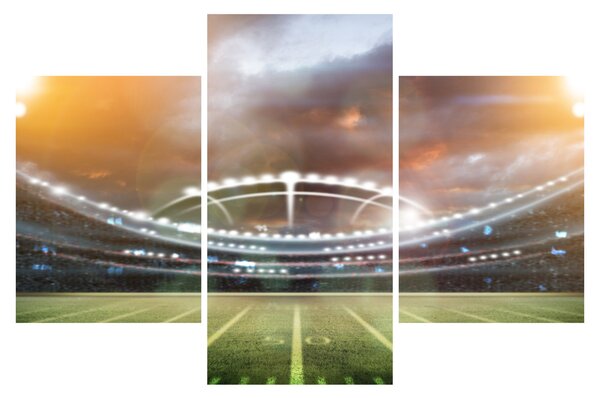 Slika - Stadion (90x60 cm)