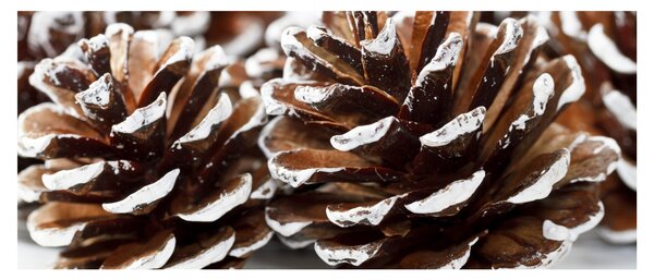Slika - krafne (120x50 cm)