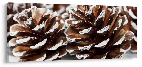 Slika - krafne (120x50 cm)