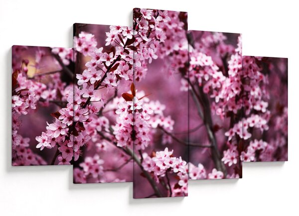Slika - Ružičasta sakura (150x105 cm)