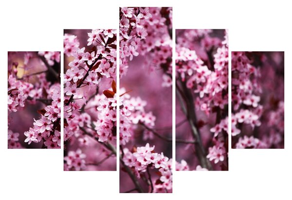 Slika - Ružičasta sakura (150x105 cm)