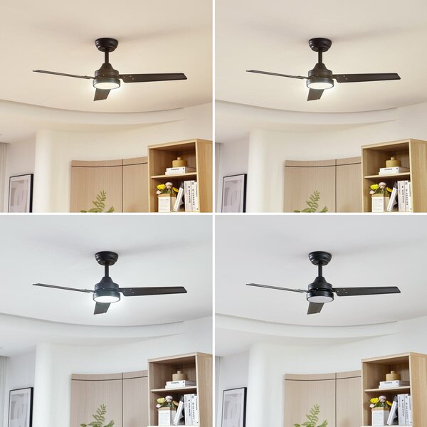 Aerallo LED stropni ventilator, crni, CCT, tih – Lindby Lindby, Aerallo, Crno, Dnevna soba, Metal, Moderan