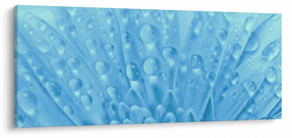 Slika - Makro snimak cvijeta (120x50 cm)