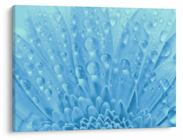 Slika - Makro snimak cvijeta (70x50 cm)