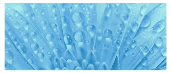 Slika - Makro snimak cvijeta (120x50 cm)