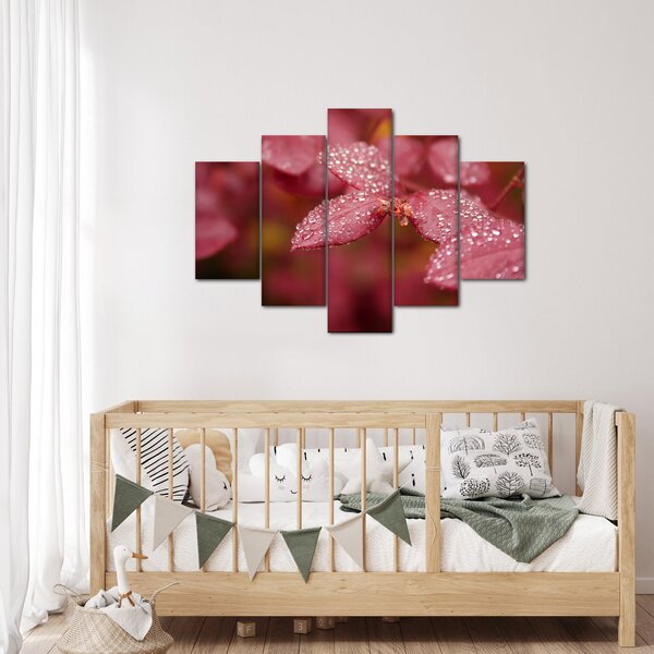 Slika - Makro slika ulaznice (150x105 cm)