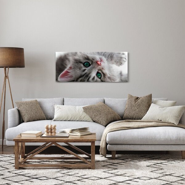 Slika - Mačka sa zelenim očima (120x50 cm)