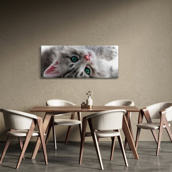 Slika - Mačka sa zelenim očima (120x50 cm)