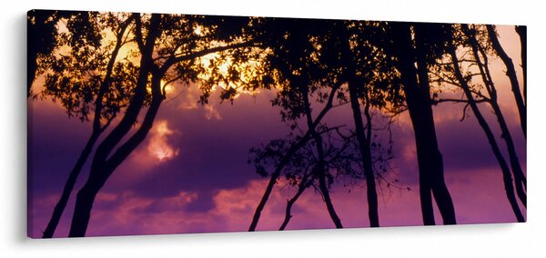 Slika - Drveće u zalasku sunca (120x50 cm)