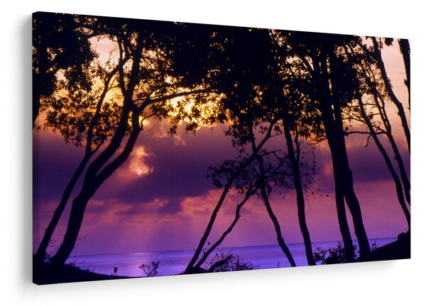 Slika - Drveće u zalasku sunca (90x60 cm)