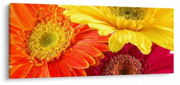 Slika - Cvijeće Gerbery (120x50 cm)