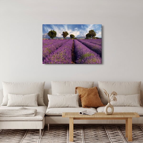 Slika - Polje lavande i planine (90x60 cm)