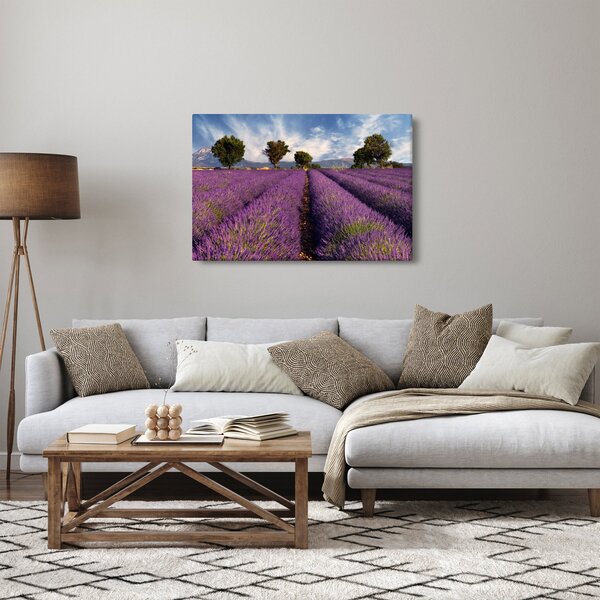 Slika - Polje lavande i planine (90x60 cm)