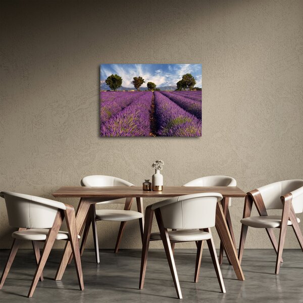 Slika - Polje lavande i planine (70x50 cm)