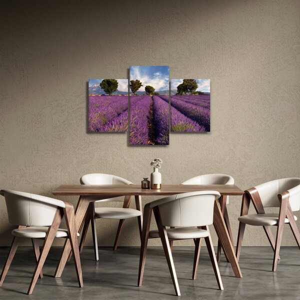Slika - Polje lavande i planine (90x60 cm)