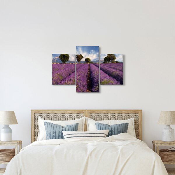 Slika - Polje lavande i planine (90x60 cm)