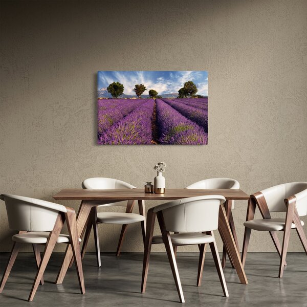 Slika - Polje lavande i planine (90x60 cm)