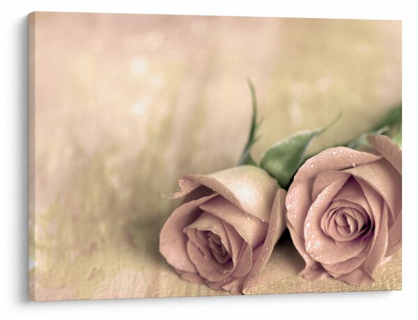 Slika - Fine ruze (70x50 cm)
