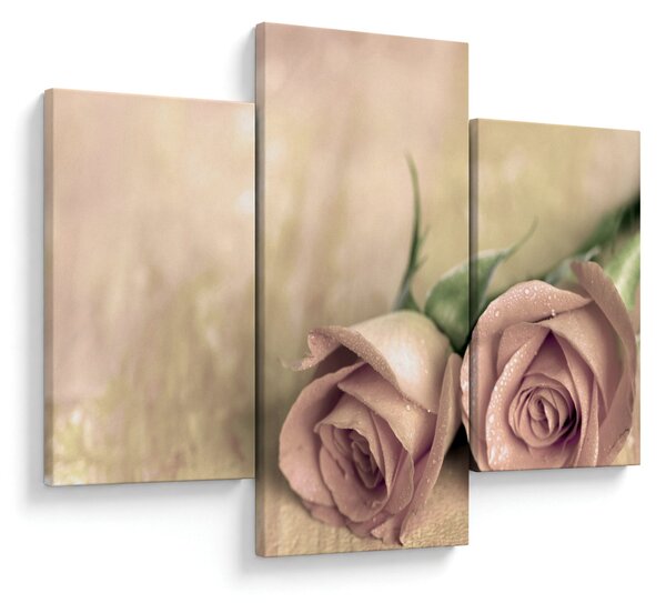 Slika - Fine ruze (90x60 cm)