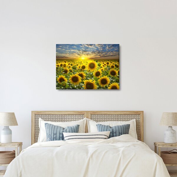 Slika - Suncokreti na zalasku sunca (70x50 cm)