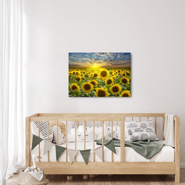 Slika - Suncokreti na zalasku sunca (70x50 cm)