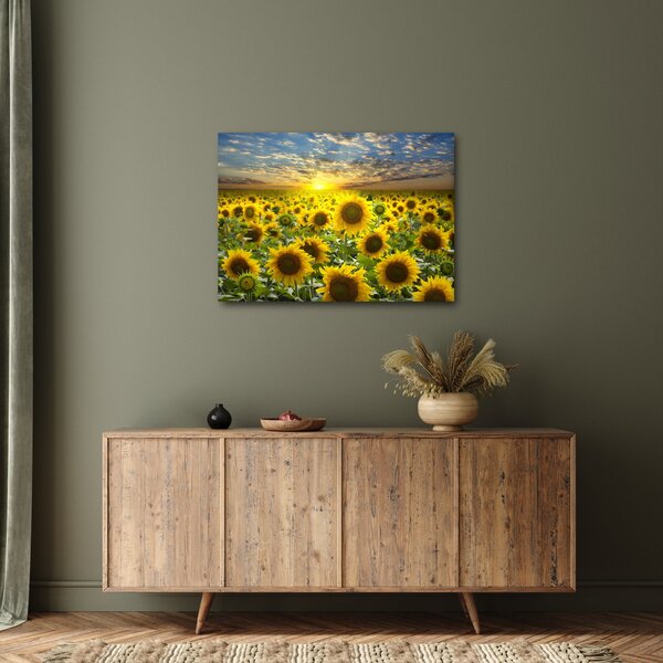 Slika - Suncokreti na zalasku sunca (70x50 cm)