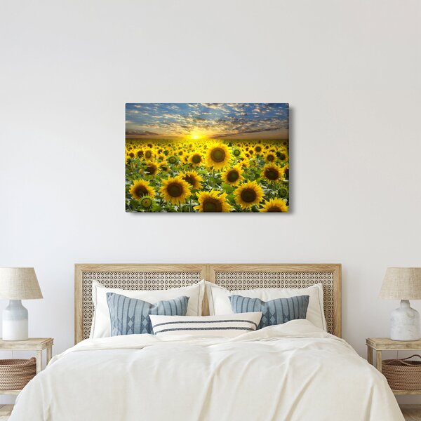 Slika - Suncokreti na zalasku sunca (90x60 cm)
