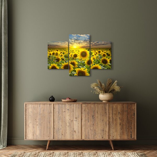 Slika - Suncokreti na zalasku sunca (90x60 cm)
