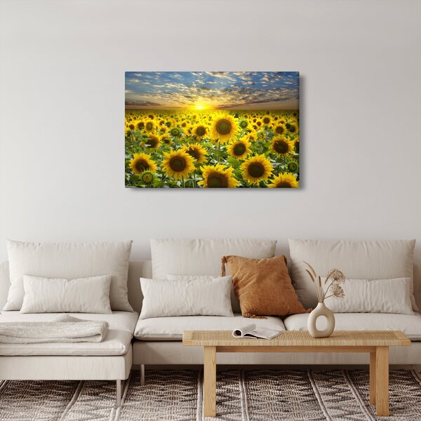 Slika - Suncokreti na zalasku sunca (90x60 cm)