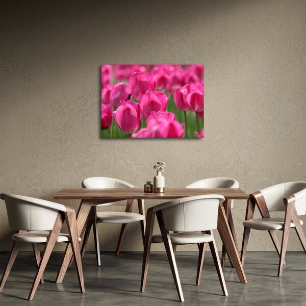 Slika - Ružičasti tulipani (70x50 cm)