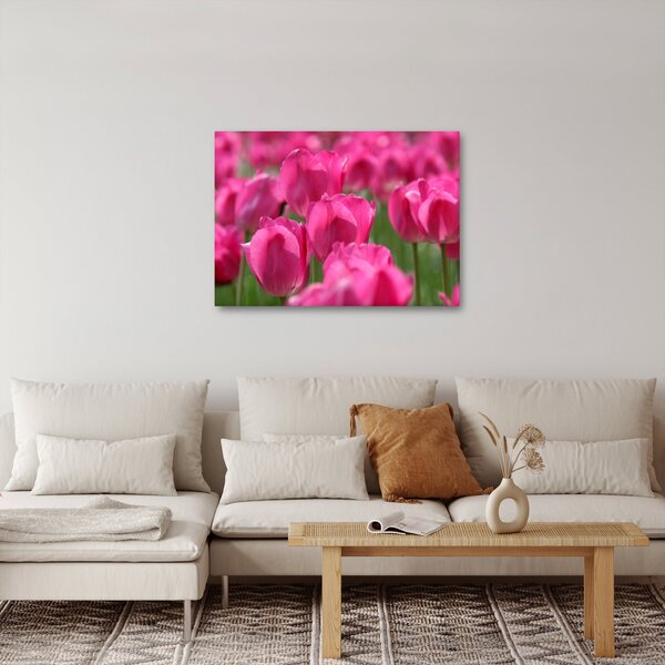 Slika - Ružičasti tulipani (70x50 cm)