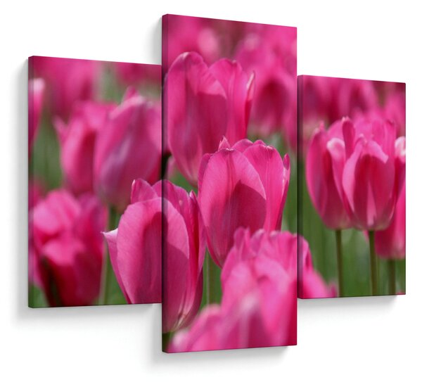 Slika - Ružičasti tulipani (90x60 cm)
