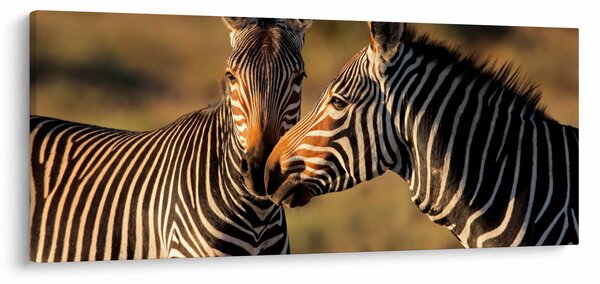 Slika - Dvije zebre (120x50 cm)