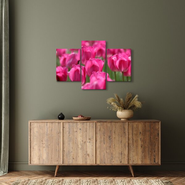 Slika - Ružičasti tulipani (90x60 cm)