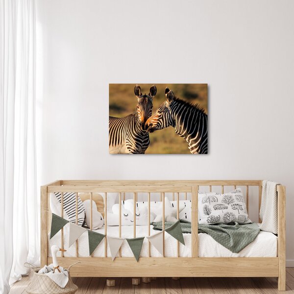 Slika - Dvije zebre (70x50 cm)