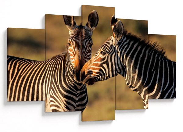 Slika - Dvije zebre (150x105 cm)