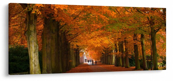 Slika - Avenija drveća u jesen (120x50 cm)