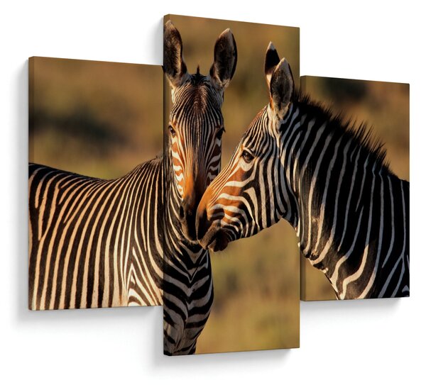 Slika - Dvije zebre (90x60 cm)