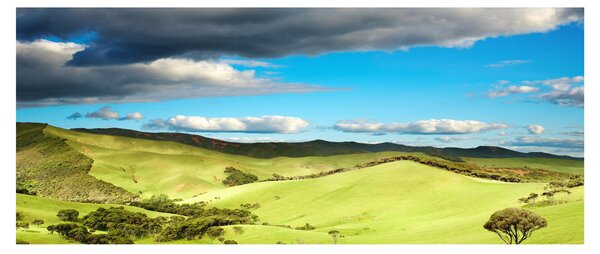 Slika - Zeleni krajolik s brdima (120x50 cm)