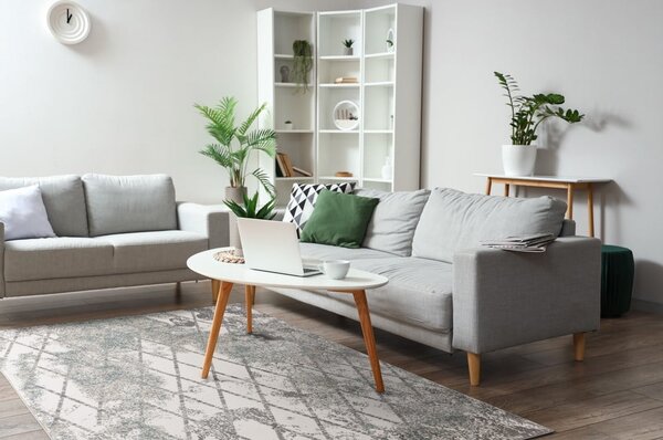 Sivi tepih 200x280 cm Sensi Gepi – FD