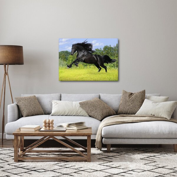 Slika - Konj s lepršavom grivom (70x50 cm)