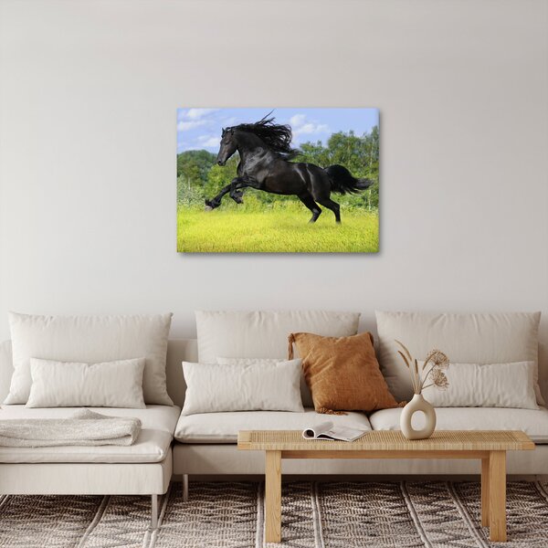 Slika - Konj s lepršavom grivom (70x50 cm)