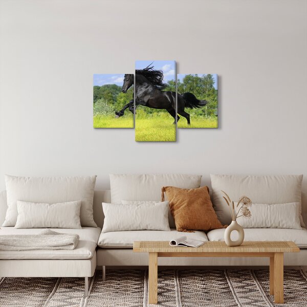 Slika - Konj s lepršavom grivom (90x60 cm)