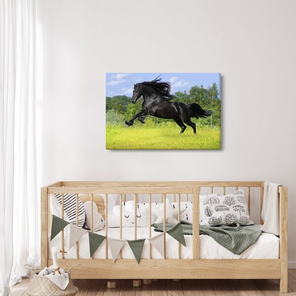 Slika - Konj s lepršavom grivom (90x60 cm)