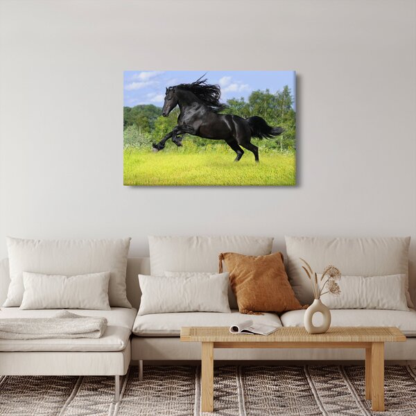 Slika - Konj s lepršavom grivom (90x60 cm)