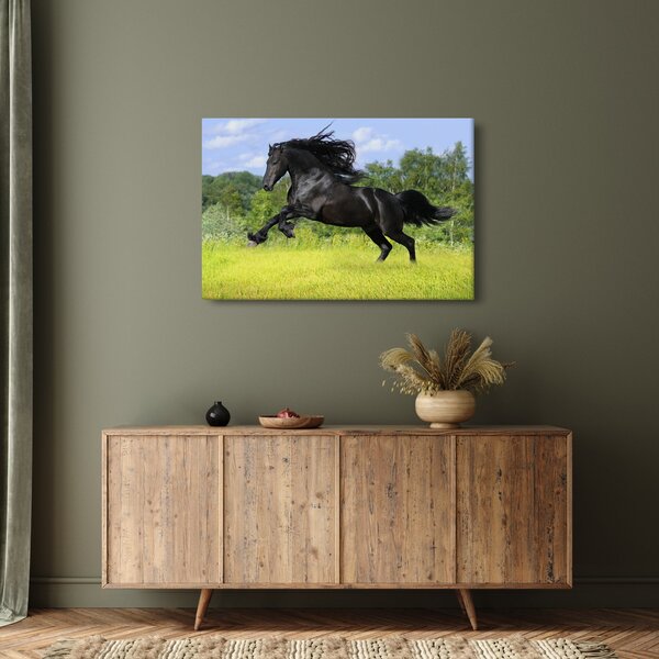 Slika - Konj s lepršavom grivom (90x60 cm)