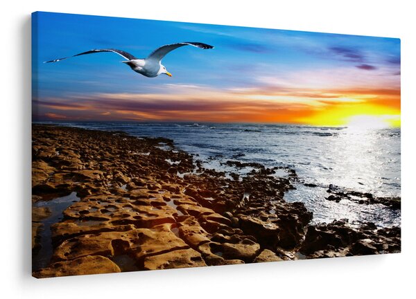 Slika - Galeb leti iznad obale (90x60 cm)