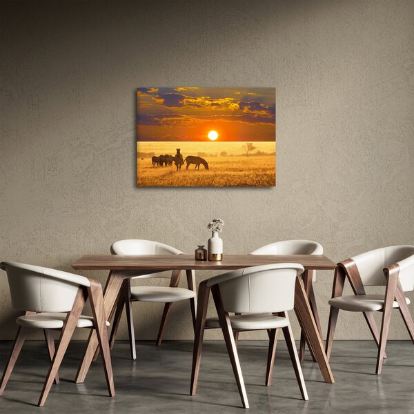 Slika - Zebre sa zalaskom sunca (70x50 cm)