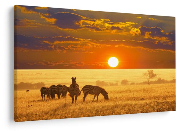 Slika - Zebre sa zalaskom sunca (90x60 cm)